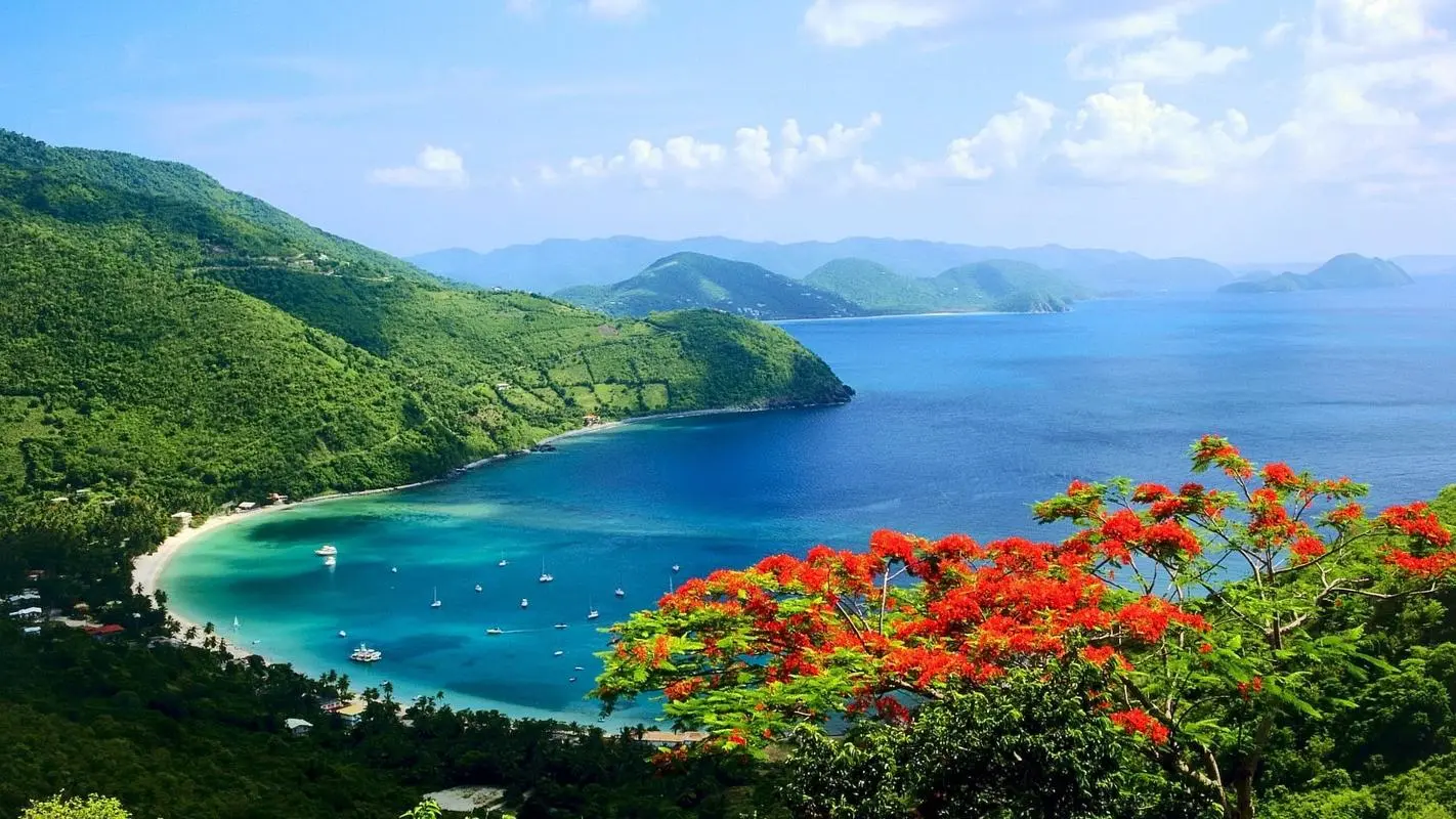 高精度绿色高端